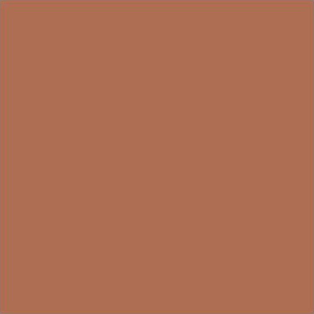L'Oréal Color Riche Lipstick - 231 Sepia Silk - Cosmetics Fragrance Direct-52592180