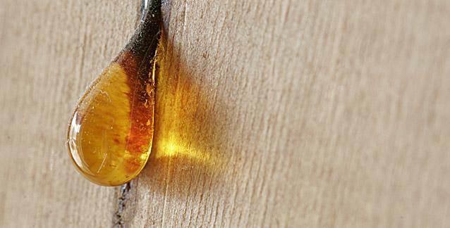 Amber Perfumes, Colognes and Fragrances - Cosmetics Fragrance Direct 
