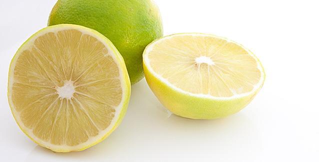 Bergamot Fragrances and Beauty Products - Cosmetics Fragrance Direct 