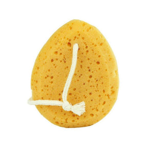 Body Sponge - Cosmetics Fragrance Direct -10256