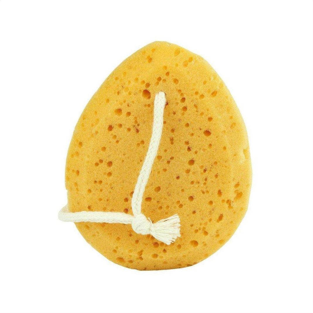 Body Sponge