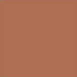 L'Oréal Color Riche Lipstick - 231 Sepia Silk - Cosmetics Fragrance Direct-52592180