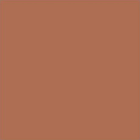 L'Oréal Color Riche Lipstick - 231 Sepia Silk - Cosmetics Fragrance Direct-52592180
