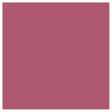 L'Oréal Color Riche Lipstick - 255 Blush In Plum - Cosmetics Fragrance Direct-74473012