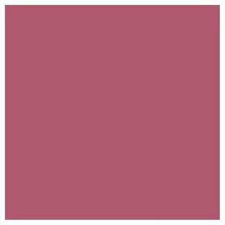 L'Oréal Color Riche Lipstick - 255 Blush In Plum - Cosmetics Fragrance Direct-74473012