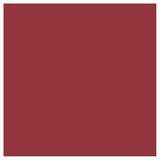 L'Oréal Color Riche Lipstick - 374 Intense Plum - Cosmetics Fragrance Direct-3600521966372