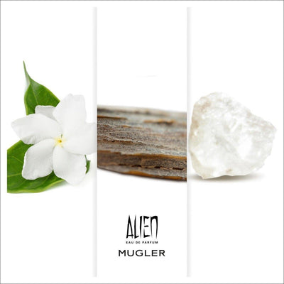 Thierry Mugler Alien Eau de Parfum Spray 30ml - Cosmetics Fragrance Direct-3439600056907